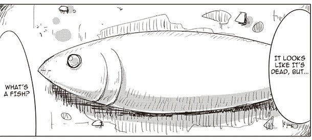 esoteric fish banner